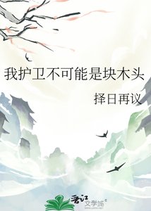 我护卫不可能是块木头