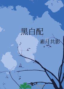 黑白配