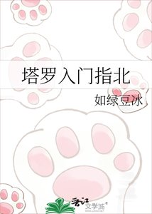 塔罗入门指北