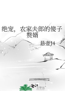 绝宠,农家夫郎的傻子赘婿